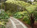 builder garden pathways Cairns, Aeroglen, Atherton, Barron,  Barron Gorge, Bayview Heights, Bentley Park