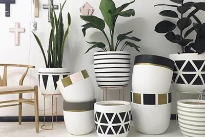 designer home wares store Cairns